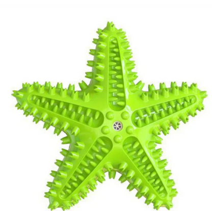 Star Teether – Squeaky Textured Chew Toy for Dogs