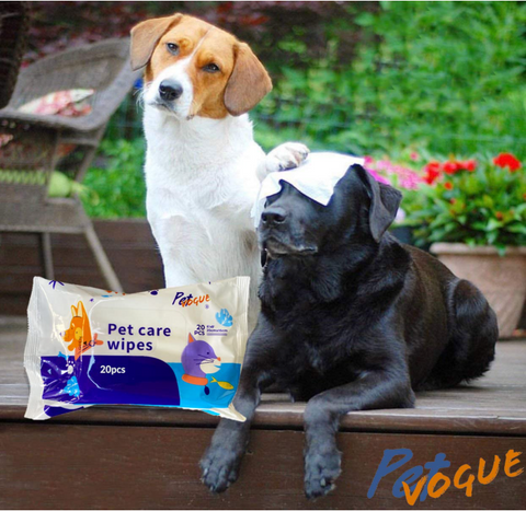 Pet Wet Wipes – 20 pcs | Monsoon Hygiene for Dogs & Cats