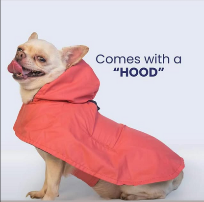 Plain Dog Raincoat – Lightweight & Water-Resistant SKU: PP-PSG-RAINCT