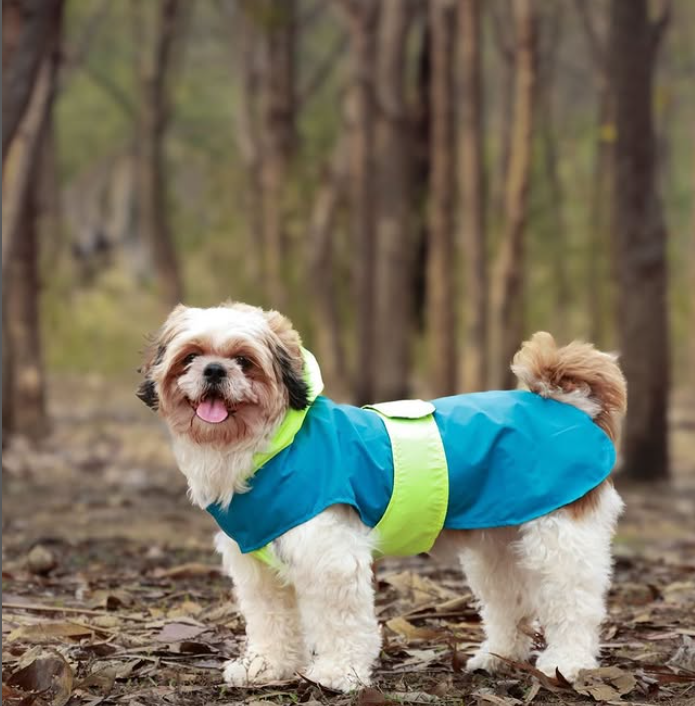 Dual Color Dog Raincoats – Waterproof & Adjustable - Neon Blue