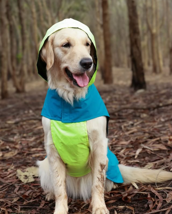Dual Color Dog Raincoats – Waterproof & Adjustable - Neon Blue