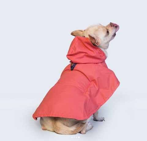 Solid Colour Dog Raincoat (Pink) – Lightweight & Water-Resistant