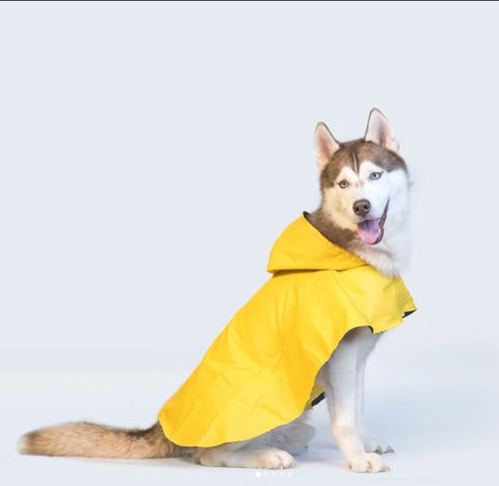 Solid Colour Dog Raincoat (Yellow) – Lightweight & Water-Resistant