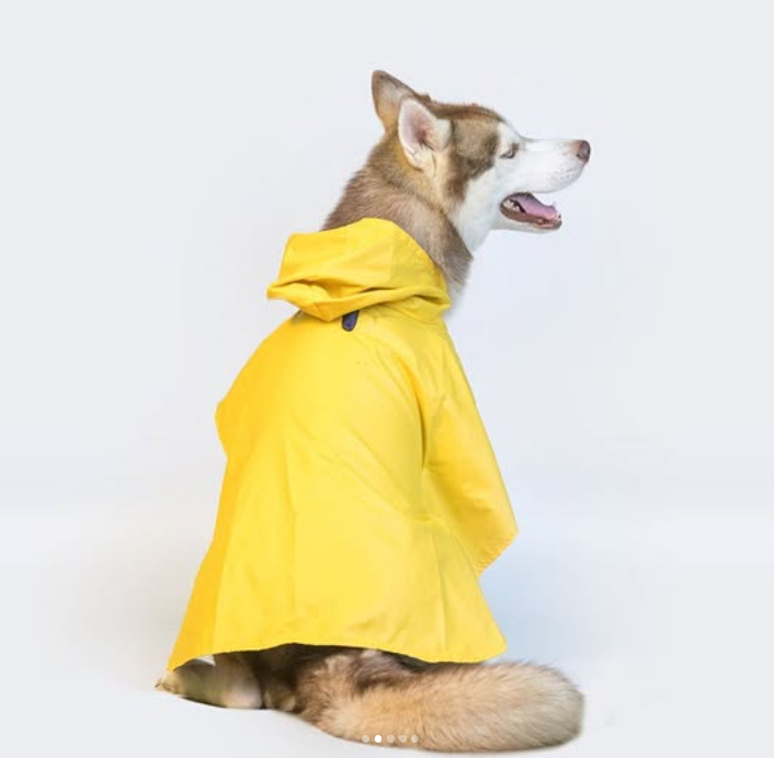 Solid Colour Dog Raincoat (Yellow) – Lightweight & Water-Resistant