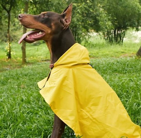 Solid Colour Dog Raincoat (Yellow) – Lightweight & Water-Resistant