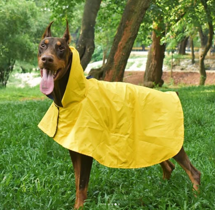 Solid Colour Dog Raincoat (Yellow) – Lightweight & Water-Resistant