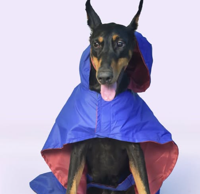 Solid Colour Dog Raincoat (Blue) – Lightweight & Water-Resistant