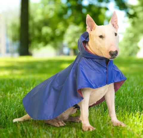 Solid Colour Dog Raincoat (Blue) – Lightweight & Water-Resistant