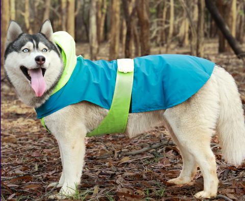 Dual Color Dog Raincoats – Waterproof & Adjustable - Neon Blue