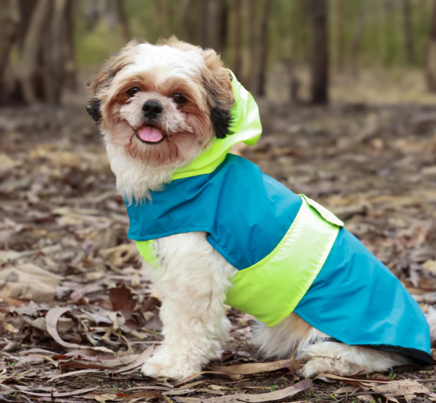 Dual Color Dog Raincoats – Waterproof & Adjustable - Neon Blue