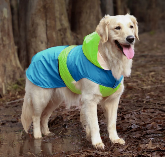 Dual Color Dog Raincoats – Waterproof & Adjustable - Neon Blue
