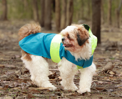 Dual Color Dog Raincoats – Waterproof & Adjustable - Neon Blue