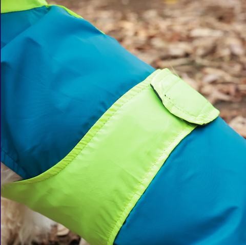Dual Color Dog Raincoats – Waterproof & Adjustable - Neon Blue