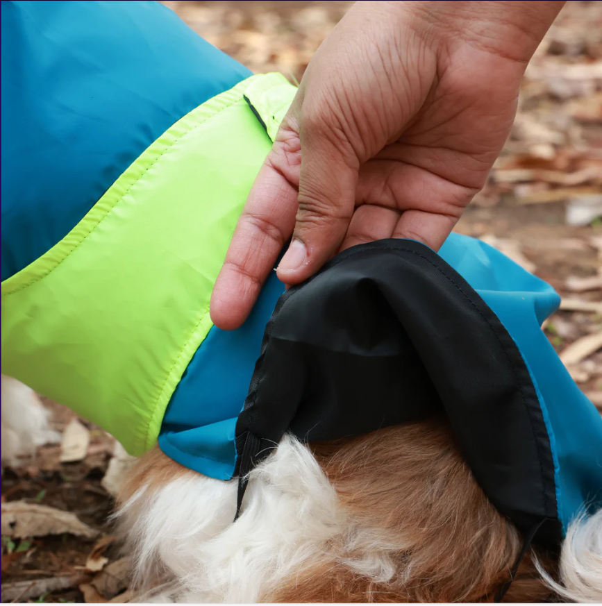Dual Color Dog Raincoats – Waterproof & Adjustable - Neon Blue