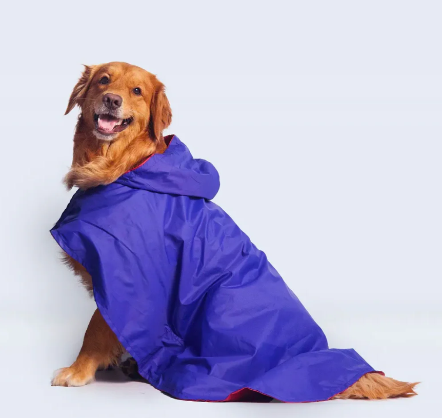 Solid Colour Dog Raincoat (Blue) – Lightweight & Water-Resistant