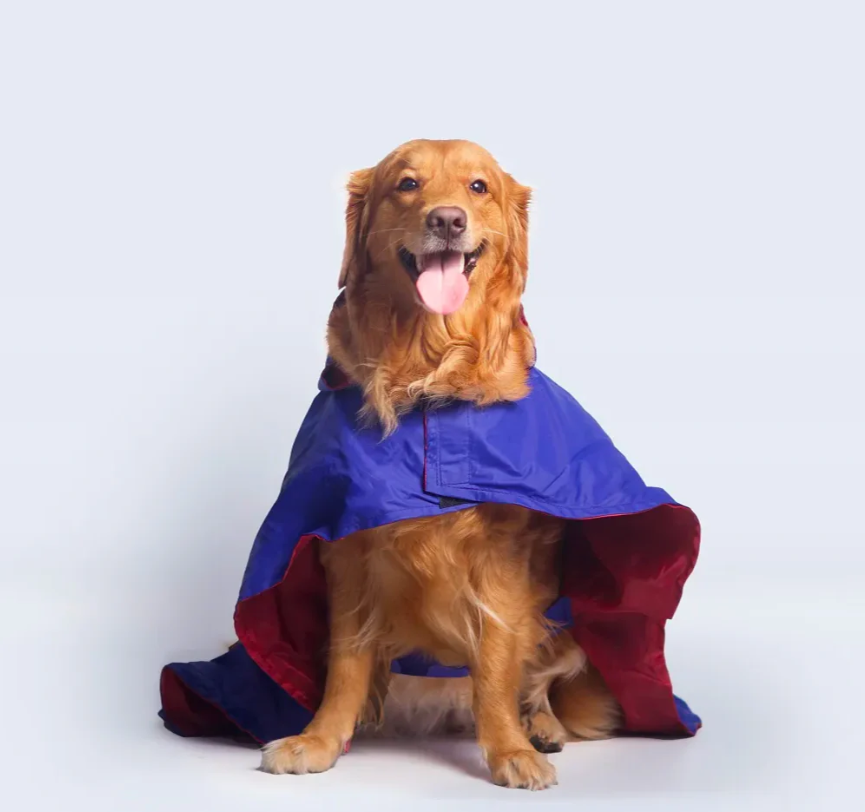 Solid Colour Dog Raincoat (Blue) – Lightweight & Water-Resistant