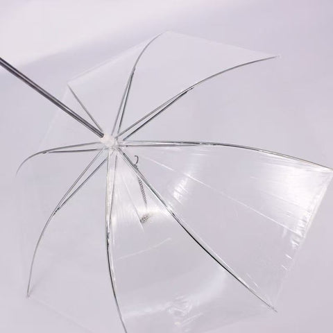 Transparent Umbrella Leash for Dogs – Rain Protection with Chain Lead Hands-Free Walking