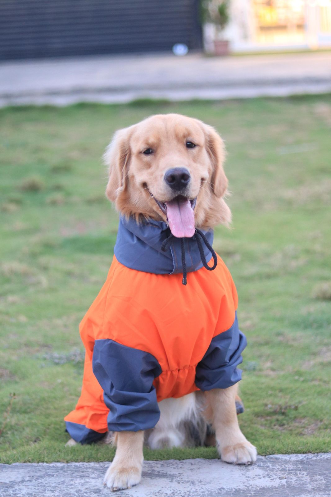 FurrMama Full Body Raincoat – Full Sleeves (Jumpsuit Style)