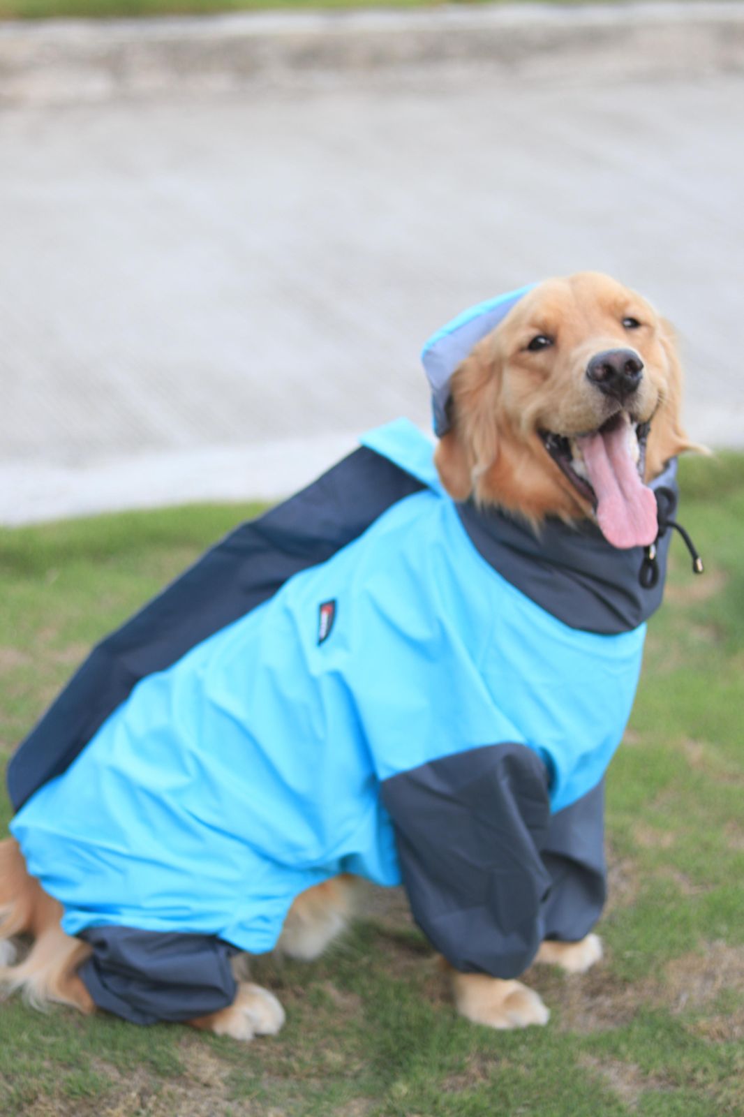 FurrMama Full Body Raincoat – Full Sleeves (Jumpsuit Style)