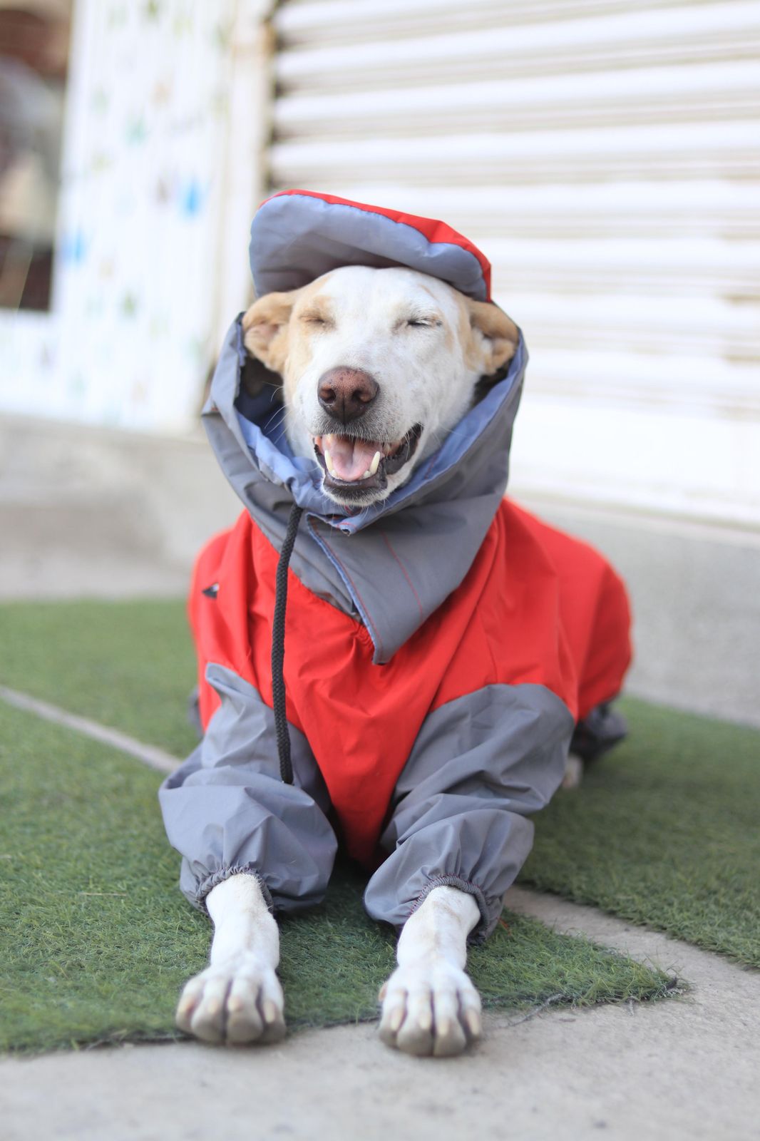 FurrMama Full Body Raincoat – Full Sleeves (Jumpsuit Style)
