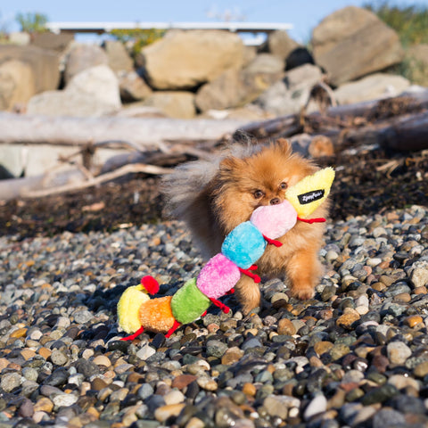 Zippy Paws Zippy Caterpillar - Large