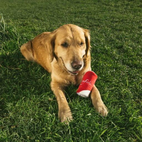 Zippy Paws Squeakie Can - Zippy Cola