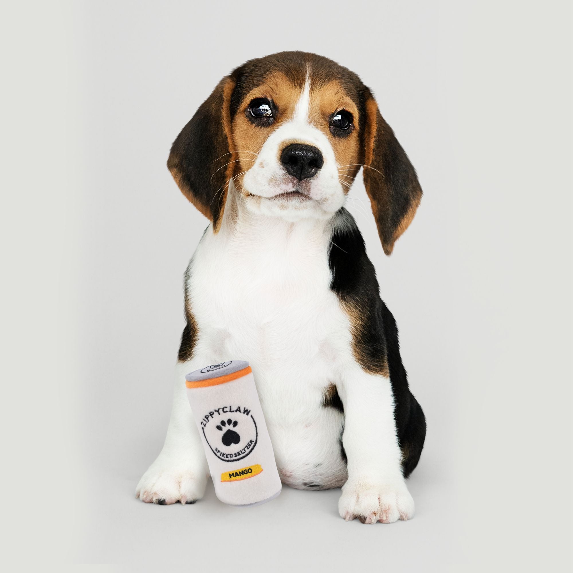 Zippy Paws Squeakie Can - Zippy Claw