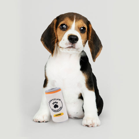 Zippy Paws Squeakie Can - Zippy Claw