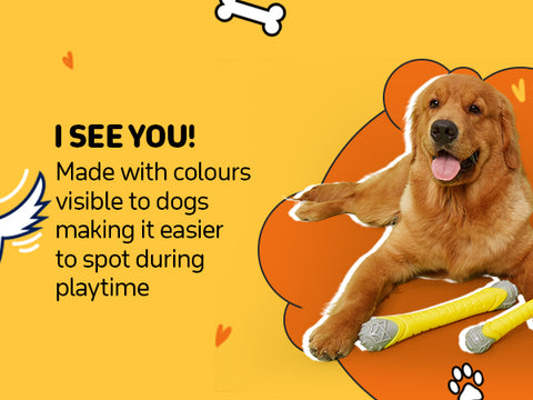 FOFOS Flexy Bone Chew Toy