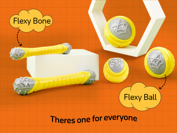 FOFOS Flexy Bone Chew Toy