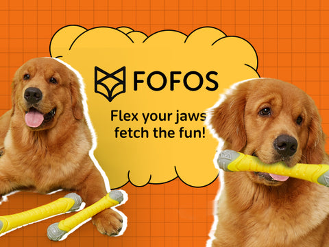 FOFOS Flexy Bone Chew Toy