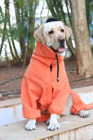 FurrMama DinoShield Raincoat – Full Body Waterproof Pet Suit